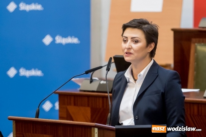 Zdjęcie w galerii na portalu naszwodzislaw.com: Przedstawiciele środowiska medycznego, samorządowcy i parlamentarzyści dyskutowali o refundacji leczenia kobiet wiadomości z regionu
