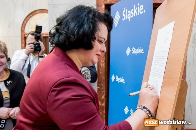 Zdjęcie w galerii na portalu naszwodzislaw.com: Przedstawiciele środowiska medycznego, samorządowcy i parlamentarzyści dyskutowali o refundacji leczenia kobiet wiadomości z regionu