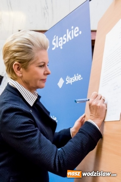 Zdjęcie w galerii na portalu naszwodzislaw.com: Przedstawiciele środowiska medycznego, samorządowcy i parlamentarzyści dyskutowali o refundacji leczenia kobiet wiadomości z regionu