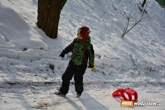 Zdjęcie w galerii na portalu naszwodzislaw.com: Zawody saneczkarskie w Rodzinnym Parku Rozrywki. FOTO  wiadomości z regionu