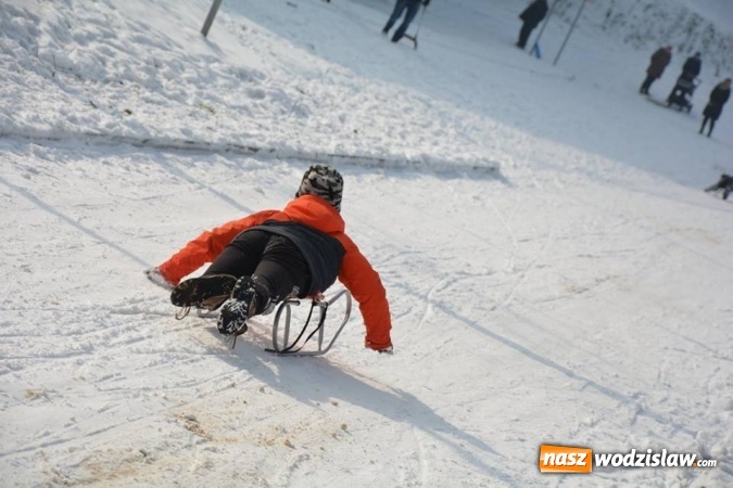 Zdjęcie w galerii na portalu naszwodzislaw.com: Zawody saneczkarskie w Rodzinnym Parku Rozrywki. FOTO  wiadomości z regionu