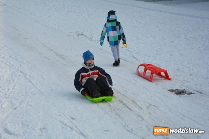 Zdjęcie w galerii na portalu naszwodzislaw.com: Zawody saneczkarskie w Rodzinnym Parku Rozrywki. FOTO  wiadomości z regionu