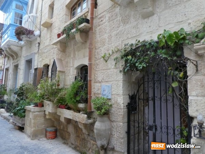 Zdjęcie w galerii na portalu naszwodzislaw.com: Nauczyciele Jedynki szkolili się na Malcie wiadomości z regionu