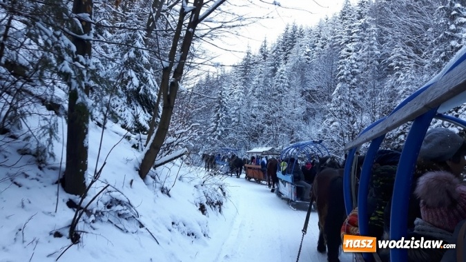 Zdjęcie w galerii na portalu naszwodzislaw.com: Mszana: Około 450 osób skorzystało z oferty na tegoroczne ferie z Ośrodkiem Kultury wiadomości z regionu