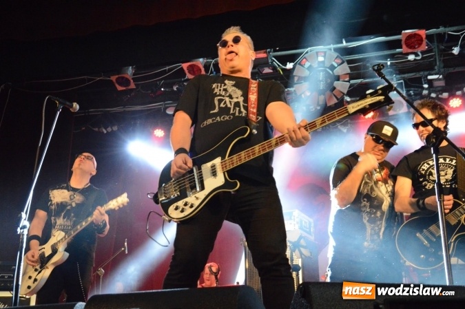 Zdjęcie w galerii na portalu naszwodzislaw.com: Punky Reggae powróciło do Pszowa wiadomości z regionu