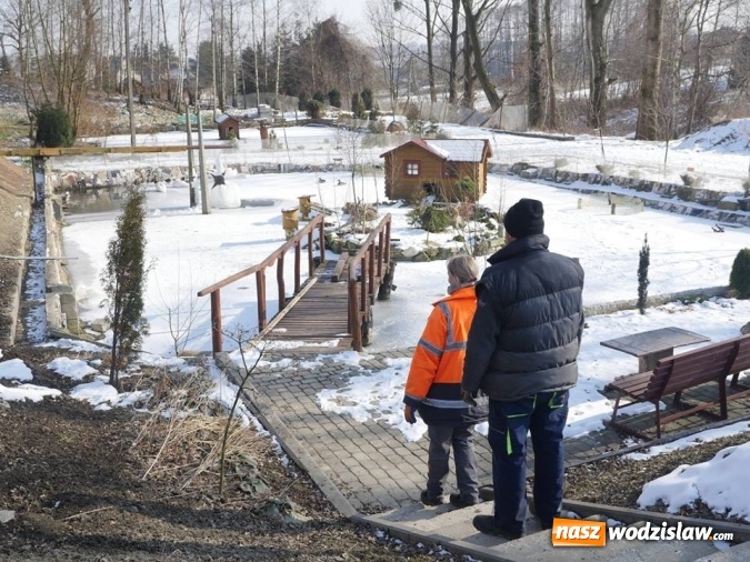 Zdjęcie w galerii na portalu naszwodzislaw.com: Łabędzie zamieszkały u księdza  wiadomości z regionu