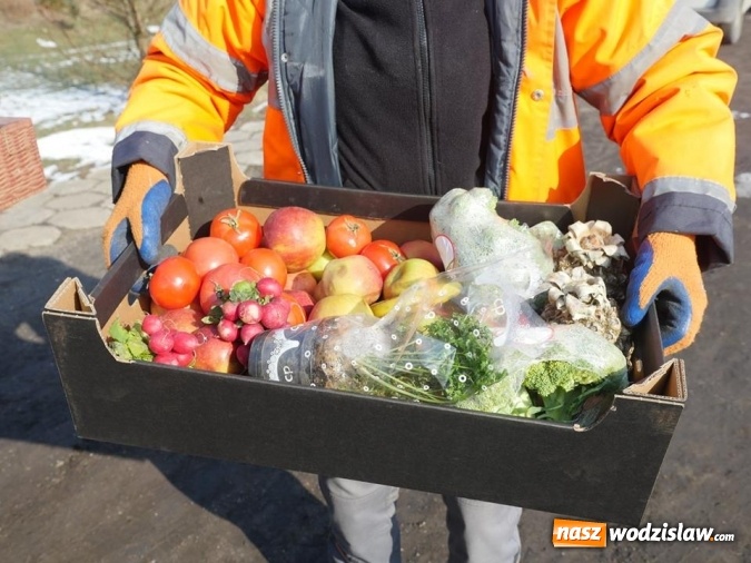 Zdjęcie w galerii na portalu naszwodzislaw.com: Łabędzie zamieszkały u księdza  wiadomości z regionu