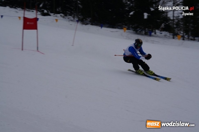 Zdjęcie w galerii na portalu naszwodzislaw.com: Szef wodzisławskich policjantów z drugim miejscem na mistrzostwach w narciarstwie alpejskim  wiadomości z regionu