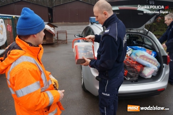 Zdjęcie w galerii na portalu naszwodzislaw.com: Wodzisławscy policjanci zorganizowali zbiórkę karmy dla bezdomnych zwierząt wiadomości z regionu