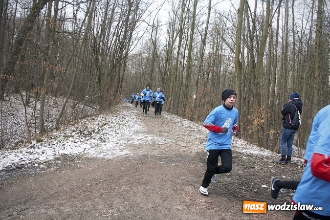 Zdjęcie w galerii na portalu naszwodzislaw.com: Z rynku na Balaton. Zorganizowano wspólny trening przez 9. Błękitną Wstęgą Balatonu  wiadomości z regionu