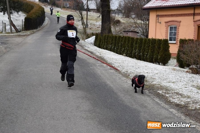 Zdjęcie w galerii na portalu naszwodzislaw.com: I Bieg o Święcelnik Wójta Gminy Mszana za nami  wiadomości z regionu