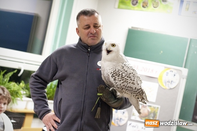 Zdjęcie w galerii na portalu naszwodzislaw.com: Niebywałe wydarzenie w rydułtowskiej placówce. Uczniowie spotkali się z sowami wiadomości z regionu