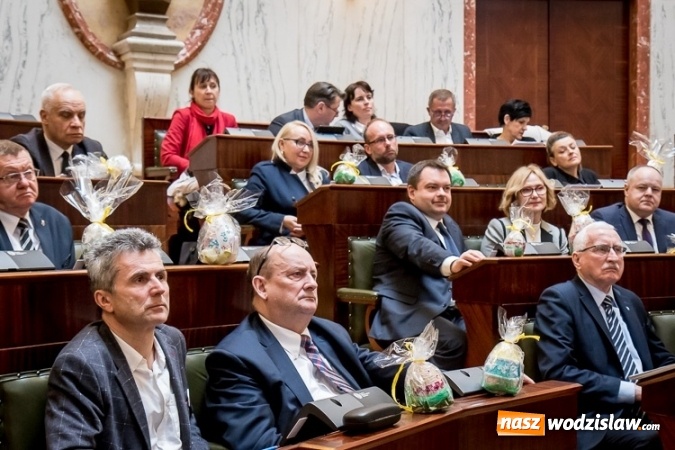 Zdjęcie w galerii na portalu naszwodzislaw.com: Sejmik wyznaczył ramy wsparcia dla zdolnych uczniów wiadomości z regionu