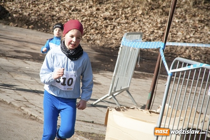 Zdjęcie w galerii na portalu naszwodzislaw.com: Fani biegania przyjechali do Wodzisławia! Za nami IX Błękitna Wstęga Balatonu. FOTORELACJA  wiadomości z regionu