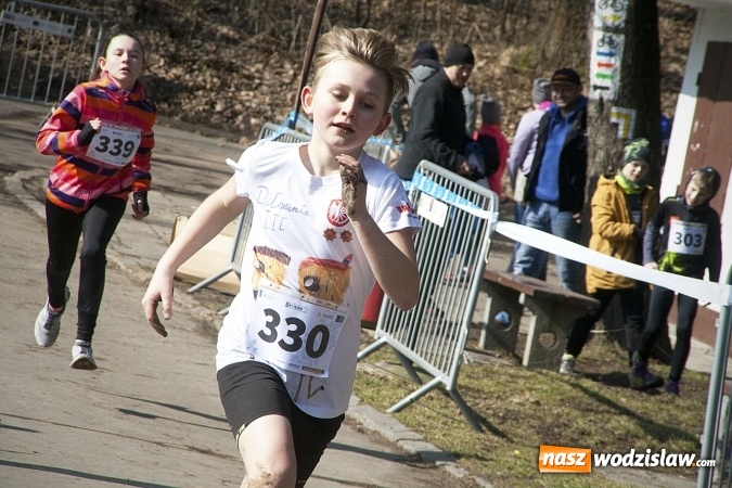 Zdjęcie w galerii na portalu naszwodzislaw.com: Fani biegania przyjechali do Wodzisławia! Za nami IX Błękitna Wstęga Balatonu. FOTORELACJA  wiadomości z regionu