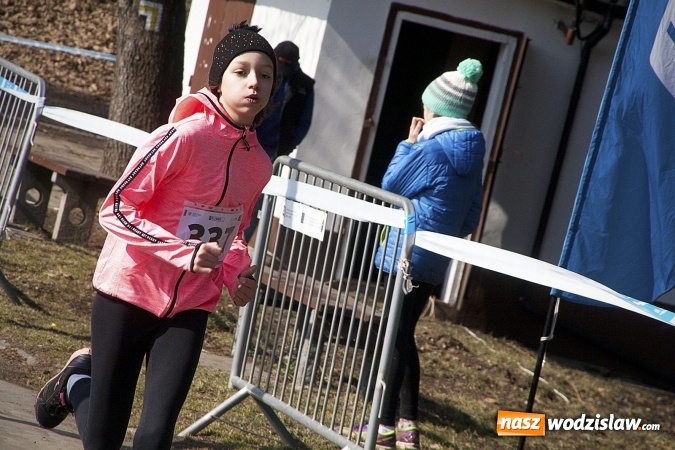 Zdjęcie w galerii na portalu naszwodzislaw.com: Fani biegania przyjechali do Wodzisławia! Za nami IX Błękitna Wstęga Balatonu. FOTORELACJA  wiadomości z regionu