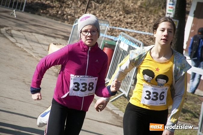 Zdjęcie w galerii na portalu naszwodzislaw.com: Fani biegania przyjechali do Wodzisławia! Za nami IX Błękitna Wstęga Balatonu. FOTORELACJA  wiadomości z regionu