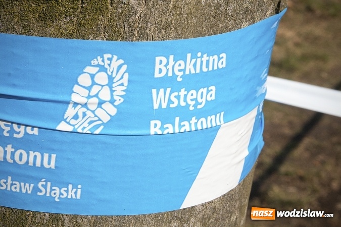 Zdjęcie w galerii na portalu naszwodzislaw.com: Fani biegania przyjechali do Wodzisławia! Za nami IX Błękitna Wstęga Balatonu. FOTORELACJA  wiadomości z regionu