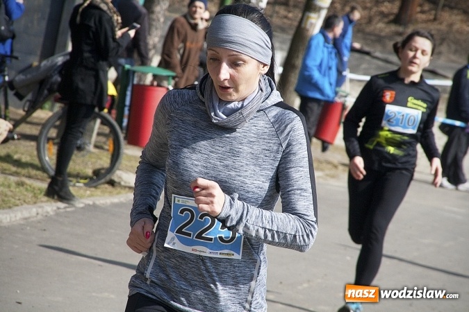 Zdjęcie w galerii na portalu naszwodzislaw.com: Fani biegania przyjechali do Wodzisławia! Za nami IX Błękitna Wstęga Balatonu. FOTORELACJA  wiadomości z regionu