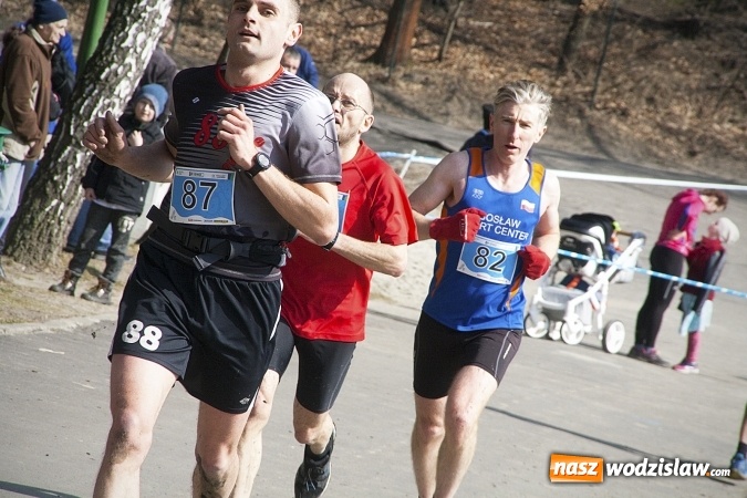 Zdjęcie w galerii na portalu naszwodzislaw.com: Fani biegania przyjechali do Wodzisławia! Za nami IX Błękitna Wstęga Balatonu. FOTORELACJA  wiadomości z regionu