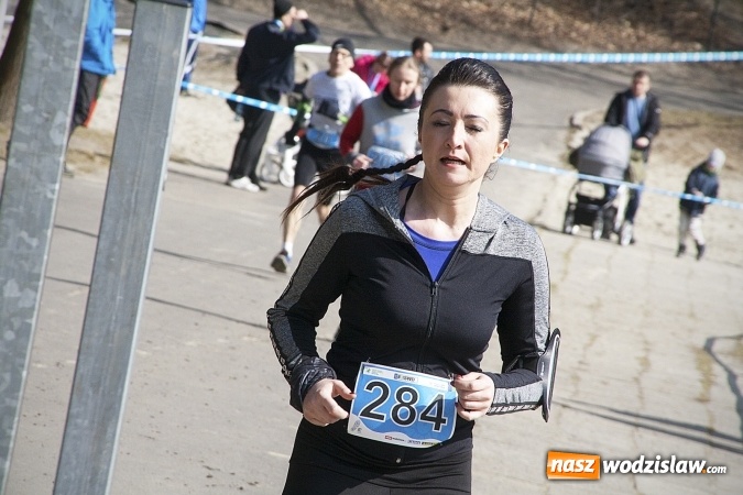 Zdjęcie w galerii na portalu naszwodzislaw.com: Fani biegania przyjechali do Wodzisławia! Za nami IX Błękitna Wstęga Balatonu. FOTORELACJA  wiadomości z regionu