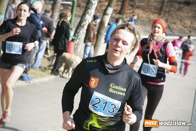 Zdjęcie w galerii na portalu naszwodzislaw.com: Fani biegania przyjechali do Wodzisławia! Za nami IX Błękitna Wstęga Balatonu. FOTORELACJA  wiadomości z regionu