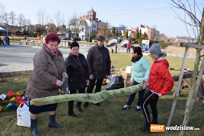 Zdjęcie w galerii na portalu naszwodzislaw.com: W Mszanie stanęła 15 metrowa palma wielkanocna  wiadomości z regionu