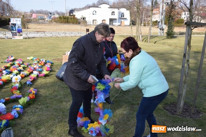 Zdjęcie w galerii na portalu naszwodzislaw.com: W Mszanie stanęła 15 metrowa palma wielkanocna  wiadomości z regionu