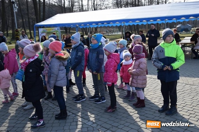 Zdjęcie w galerii na portalu naszwodzislaw.com: W Mszanie stanęła 15 metrowa palma wielkanocna  wiadomości z regionu