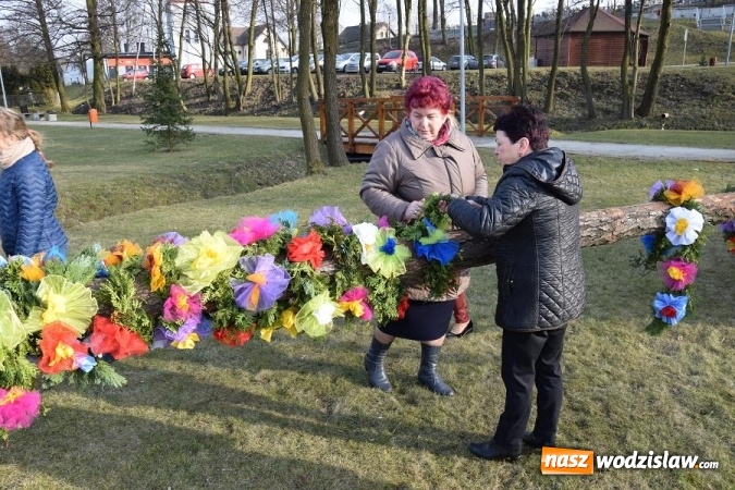 Zdjęcie w galerii na portalu naszwodzislaw.com: W Mszanie stanęła 15 metrowa palma wielkanocna  wiadomości z regionu