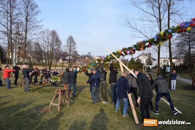 Zdjęcie w galerii na portalu naszwodzislaw.com: W Mszanie stanęła 15 metrowa palma wielkanocna  wiadomości z regionu