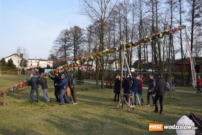 Zdjęcie w galerii na portalu naszwodzislaw.com: W Mszanie stanęła 15 metrowa palma wielkanocna  wiadomości z regionu