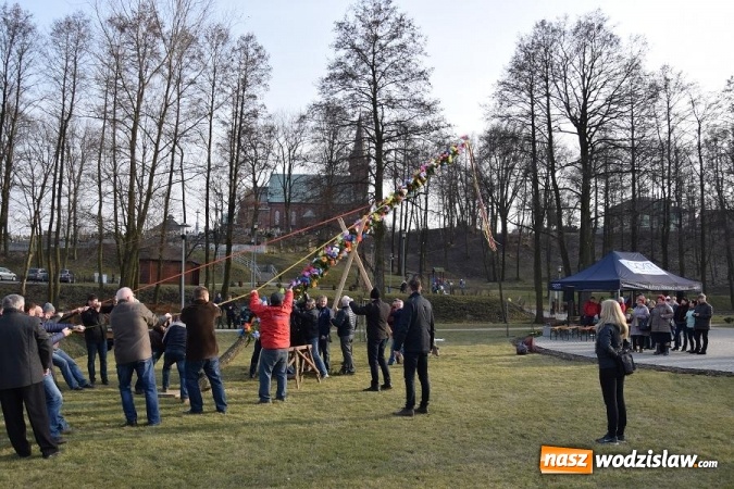 Zdjęcie w galerii na portalu naszwodzislaw.com: W Mszanie stanęła 15 metrowa palma wielkanocna  wiadomości z regionu