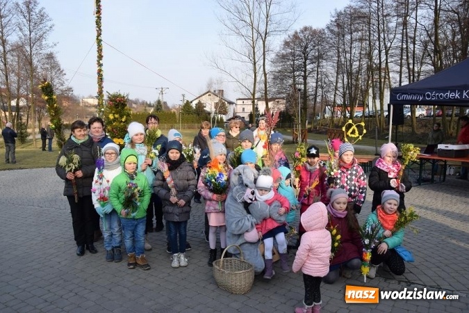 Zdjęcie w galerii na portalu naszwodzislaw.com: W Mszanie stanęła 15 metrowa palma wielkanocna  wiadomości z regionu