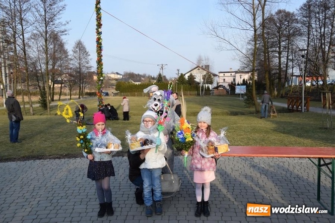Zdjęcie w galerii na portalu naszwodzislaw.com: W Mszanie stanęła 15 metrowa palma wielkanocna  wiadomości z regionu