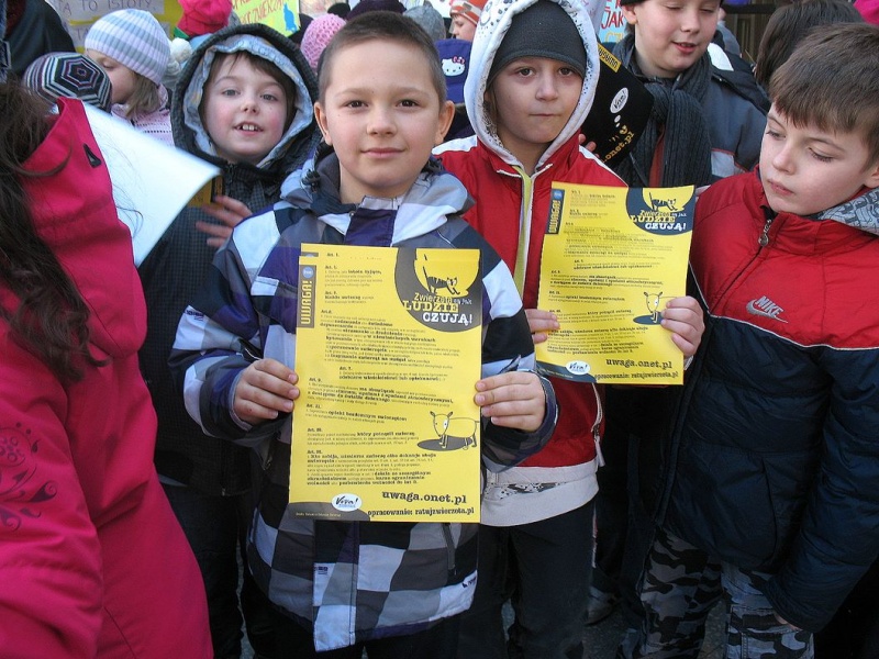 Zdjęcie w galerii na portalu naszwodzislaw.com: Materiał TVN o szkole z Wodzisławia! wiadomości z regionu