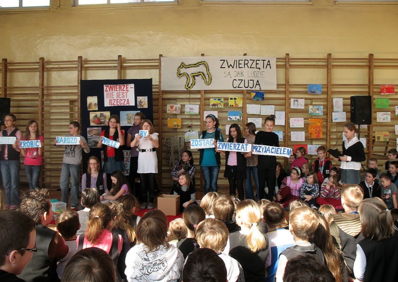 Zdjęcie w galerii na portalu naszwodzislaw.com: Materiał TVN o szkole z Wodzisławia! wiadomości z regionu