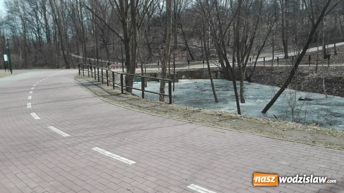 Zdjęcie w galerii na portalu naszwodzislaw.com: Kaczki zamieszkają w Rodzinnym Parku Rozrywki. Trwają prace nad zbiornikiem wiadomości z regionu