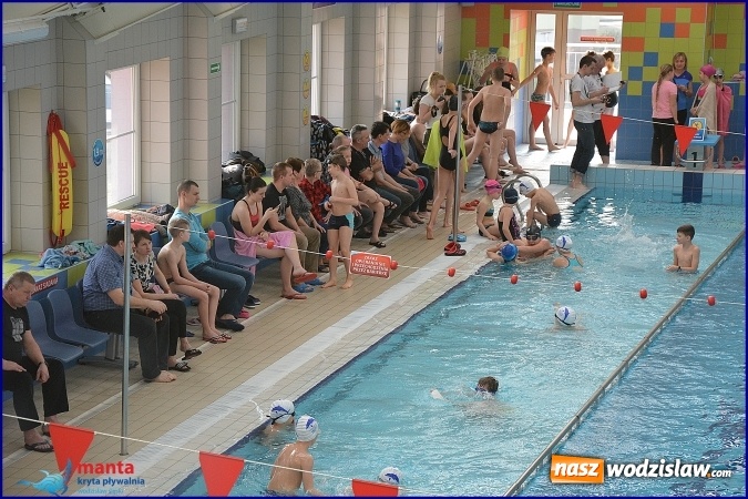 Zdjęcie w galerii na portalu naszwodzislaw.com: Wielka rywalizacja na wodzisławskim basenie, czyli finał zawodów pływackich. WYNIKI  wiadomości z regionu