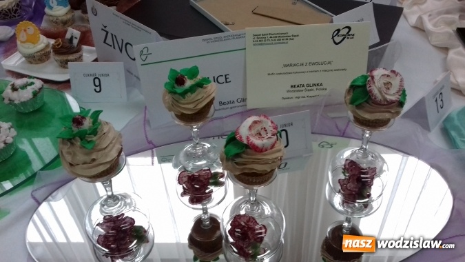 Zdjęcie w galerii na portalu naszwodzislaw.com: Dominacja Ekonomika potwierdzona. Sześć medali dla naszych kucharzy w Gastro Kromĕřiž Cup 2018  wiadomości z regionu