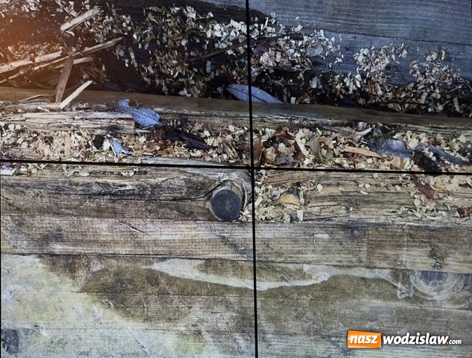 Zdjęcie w galerii na portalu naszwodzislaw.com: Źle zabezpieczony materiał po wyburzonej muszli koncertowej. Afera na sesji Rady Miasta. ZDJĘCIA  wiadomości z regionu