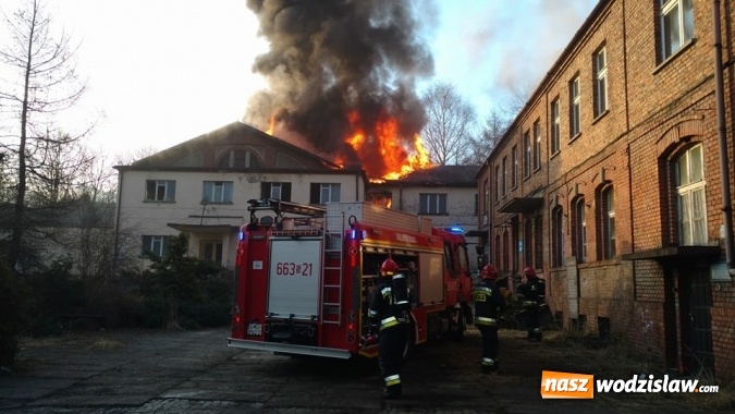 Zdjęcie w galerii na portalu naszwodzislaw.com: Pszów: Pożar budynku po byłej cechowni. Akcja gaszenia trwała około 11 godzin! wiadomości z regionu