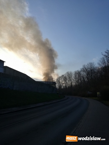 Zdjęcie w galerii na portalu naszwodzislaw.com: Pszów: Pożar budynku po byłej cechowni. Akcja gaszenia trwała około 11 godzin! wiadomości z regionu