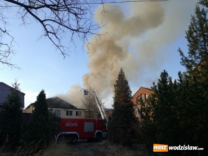Zdjęcie w galerii na portalu naszwodzislaw.com: Pszów: Pożar budynku po byłej cechowni. Akcja gaszenia trwała około 11 godzin! wiadomości z regionu