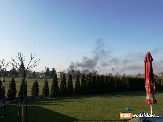 Zdjęcie w galerii na portalu naszwodzislaw.com: Pszów: Pożar budynku po byłej cechowni. Akcja gaszenia trwała około 11 godzin! wiadomości z regionu