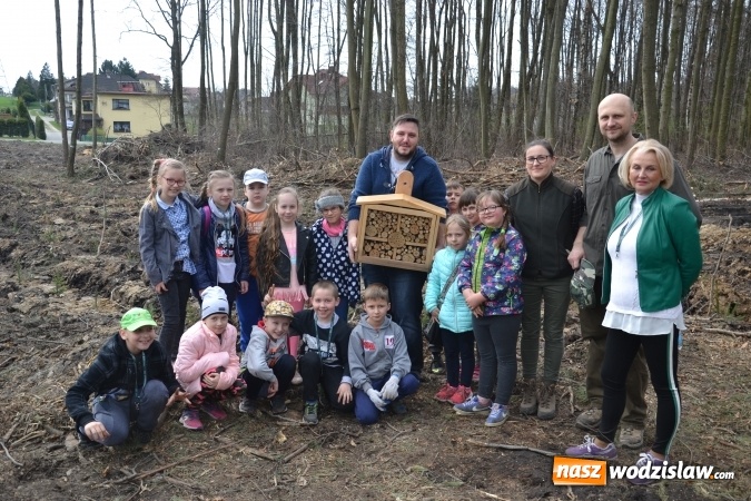 Zdjęcie w galerii na portalu naszwodzislaw.com: W Radlinie wspólnie sadzili nowy las wiadomości z regionu