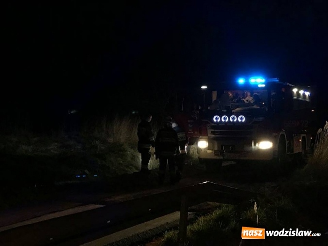 Zdjęcie w galerii na portalu naszwodzislaw.com: Bluszczów: Zapaliła się trawa. Ogień podchodził pod domostwa wiadomości z regionu
