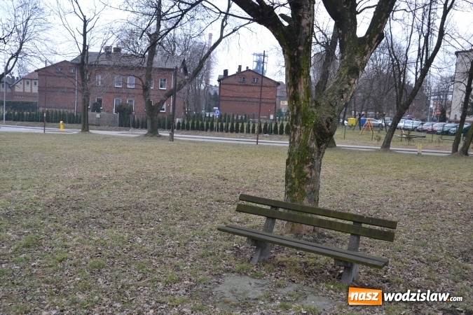 Zdjęcie w galerii na portalu naszwodzislaw.com: W Radlinie ma powstać wybieg dla psów wiadomości z regionu