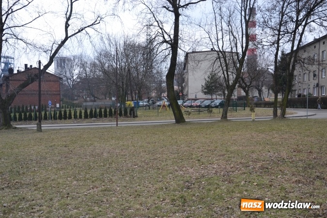 Zdjęcie w galerii na portalu naszwodzislaw.com: W Radlinie ma powstać wybieg dla psów wiadomości z regionu