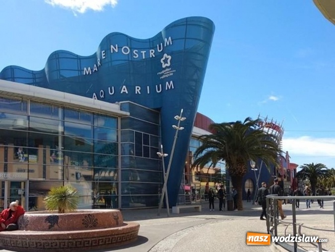 Zdjęcie w galerii na portalu naszwodzislaw.com: Wodzisławska Jedynka z wizytą we Francji wiadomości z regionu